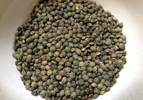 Puy Green Lentils - "poor man's caviar"
