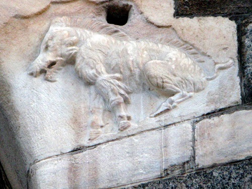 The long-haired sow of Palazzo Ragione