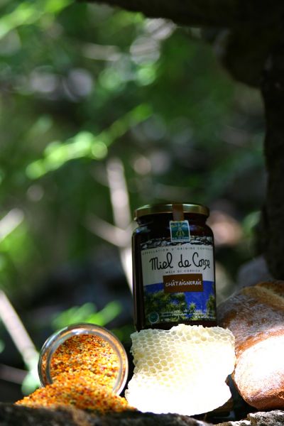Did you know about Corsican Honey?