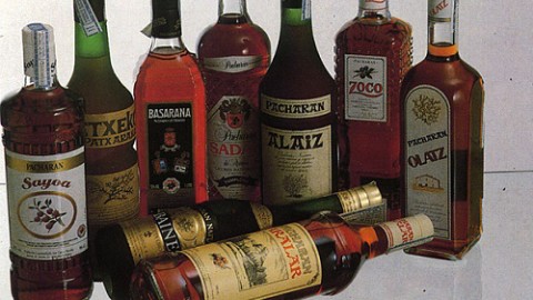 Pacharán – the sloe liqueur from Navarra