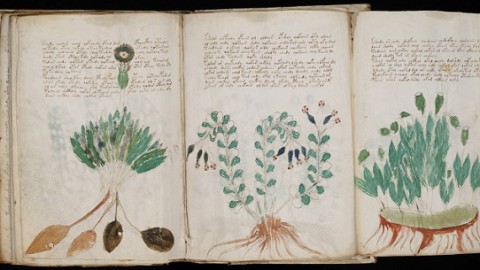 The Voynich Manuscript – a most mysterious manuscript